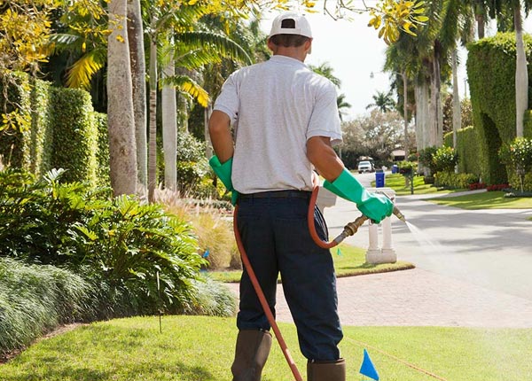 About Ash NC Pest Control